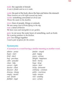 4th Grade Grammar Unit 18 Homophones Synonyms Antonyms 2.jpg